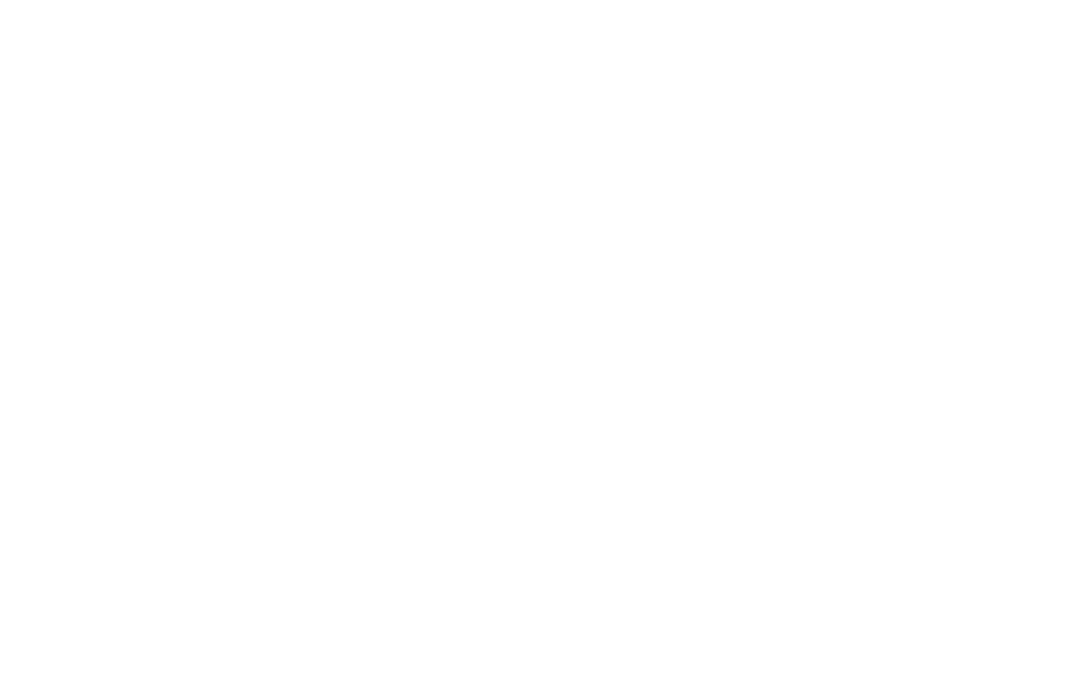 Líder IA